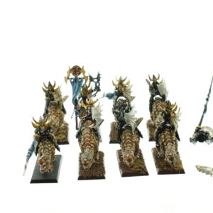 Dark Elf Cold One Knights