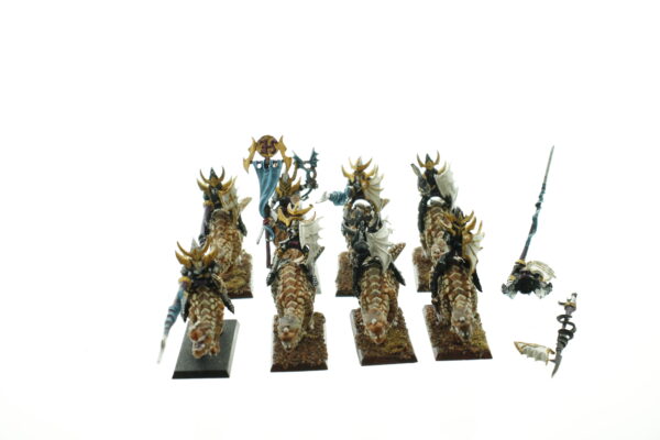 Dark Elf Cold One Knights