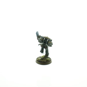 Space Wolf Sergeant with Jump Pack