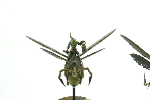 Plague Drones of Nurgle