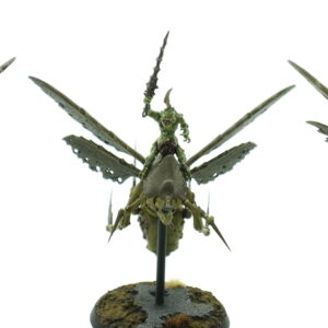 Plague Drones of Nurgle