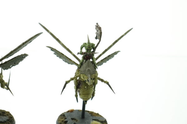 Plague Drones of Nurgle