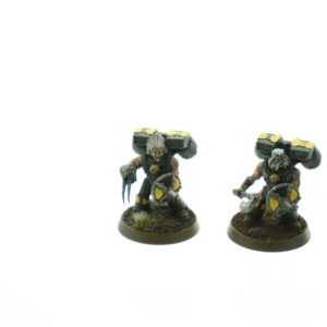 Space Wolves Assault Squad