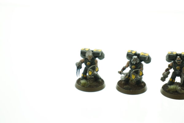 Space Wolves Assault Squad