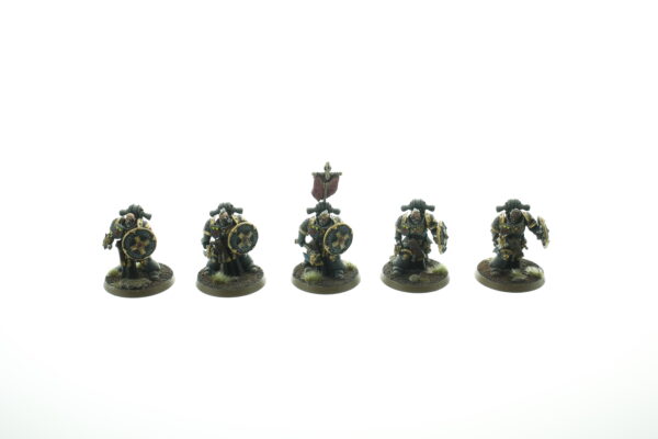 Space Wolf Bladeguard Veterans