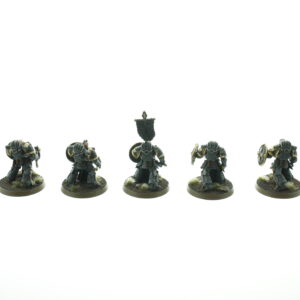 Space Wolf Bladeguard Veterans