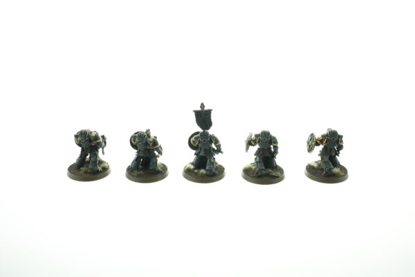 Space Wolf Bladeguard Veterans