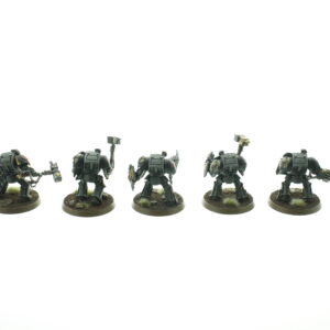 Wolf Guard Terminators