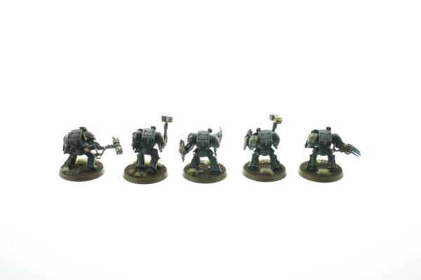 Wolf Guard Terminators