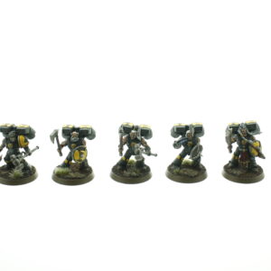 Space Wolves Assault Squad