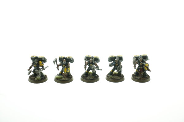 Space Wolves Assault Squad