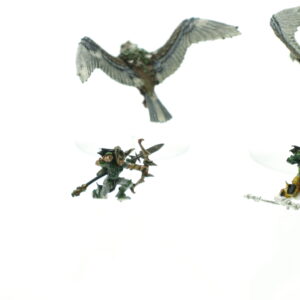 Wood Elf Warhawk Riders