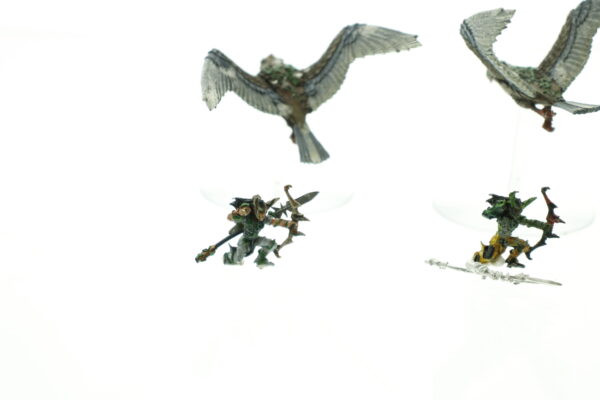 Wood Elf Warhawk Riders