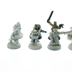 Valhallan Ice Warriors