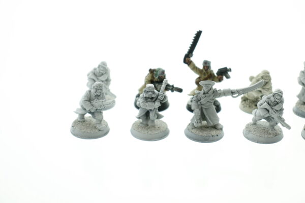 Valhallan Ice Warriors