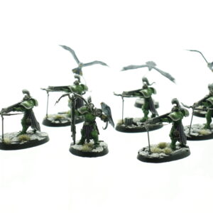 Vanguard-Raptors With Longstrike Crossbows & Aetherwings