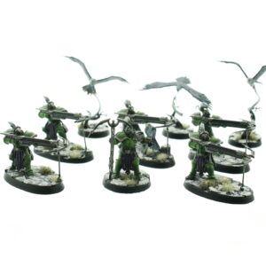 Vanguard-Raptors With Longstrike Crossbows & Aetherwings