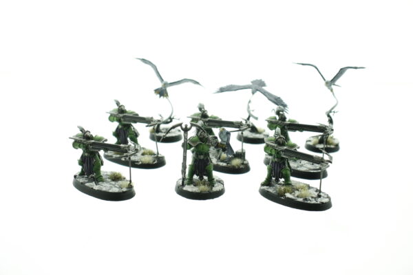 Vanguard-Raptors With Longstrike Crossbows & Aetherwings