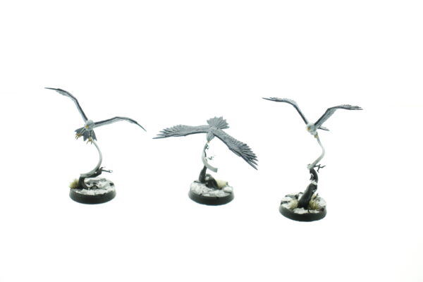 Vanguard-Raptors With Longstrike Crossbows & Aetherwings