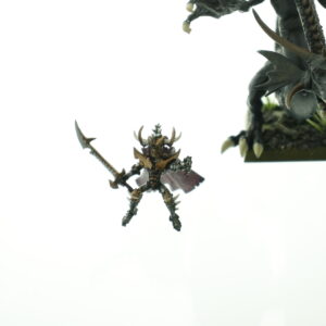 Dark Elf Malekith on Black Dragon