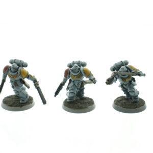 Space Wolf Reivers