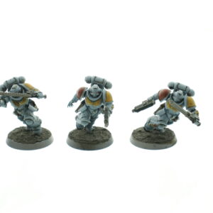 Space Wolf Reivers