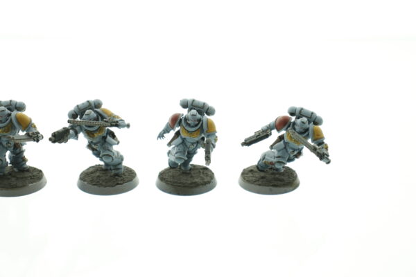 Space Wolf Reivers