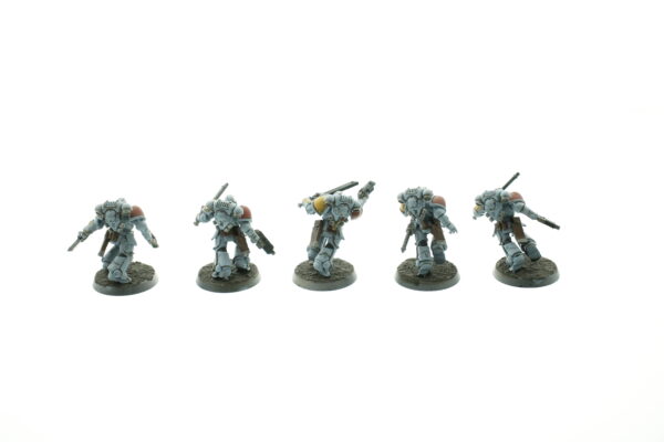 Space Wolf Reivers