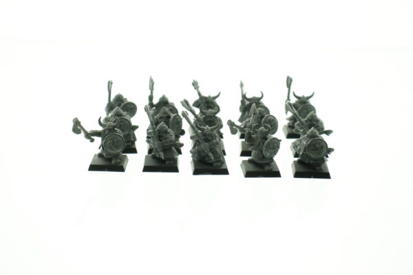 Dwarf Warriors