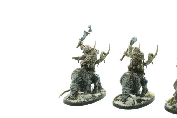 Mournfang Pack