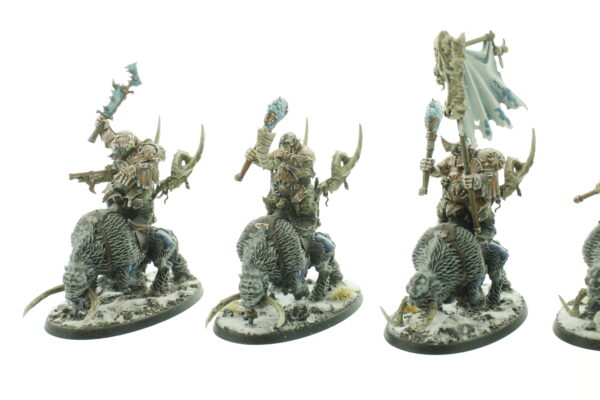 Mournfang Pack