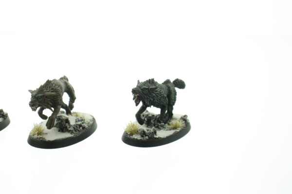 Fenrisian Wolves