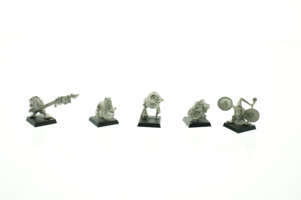 Orcs & Goblins Squig Herd