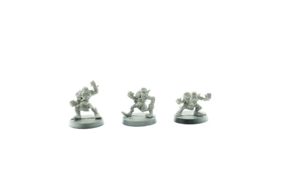 Blood Bowl Goblins