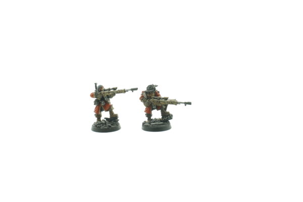 Vostroyan Snipers