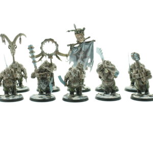 Warhammer Age of Sigmar Ogres