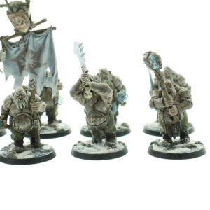 Warhammer Age of Sigmar Ogres