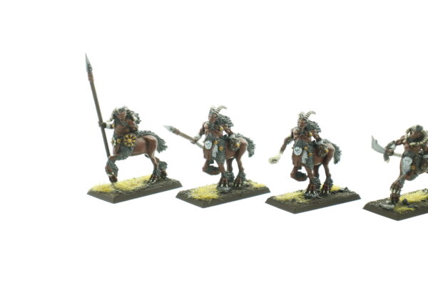 Warhammer Fantasy Beastmen Centigors