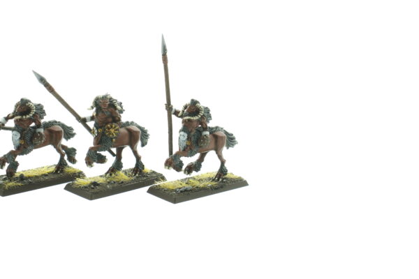 Warhammer Fantasy Beastmen Centigors