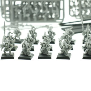 Warhammer Fantasy Night Goblin Regiment