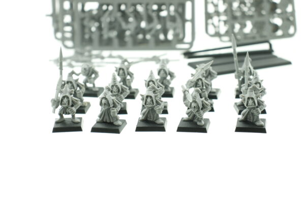 Warhammer Fantasy Night Goblin Regiment