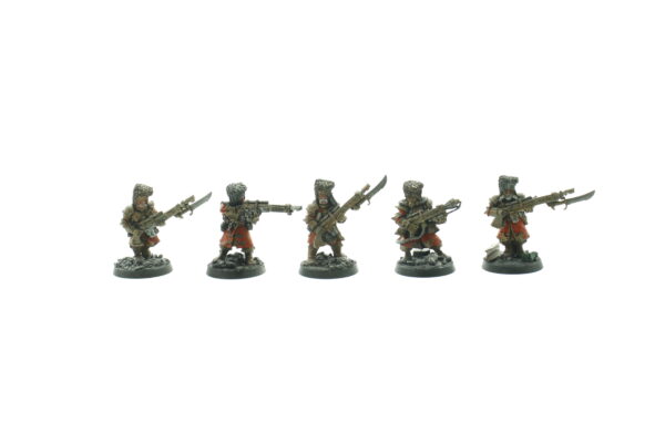 Imperial Guard Vostroyans Squad