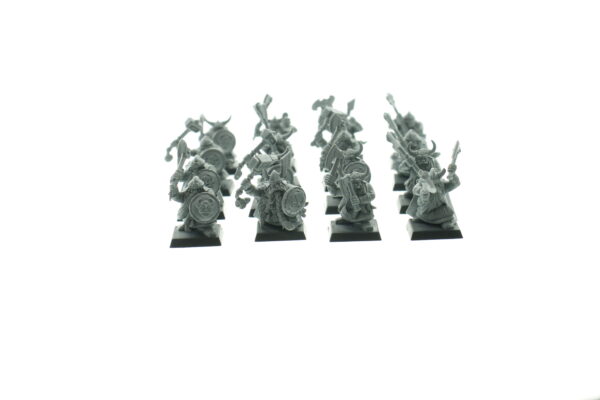 Dwarf Warriors Regiment