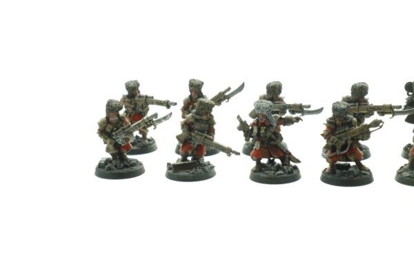 Imperial Guard Vostroyans Squad