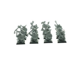 Dwarf Warriors Regiment