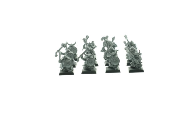 Dwarf Warriors Regiment