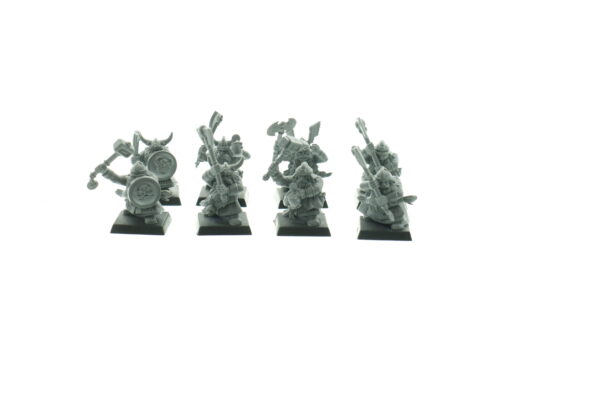 Dwarf Warriors Regiment