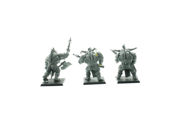 Beastmen Minotaurs