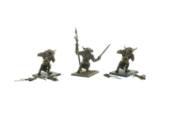 Beastmen Minotaurs