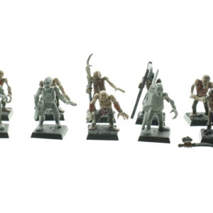 Warhammer Fantasy Undead Zombies